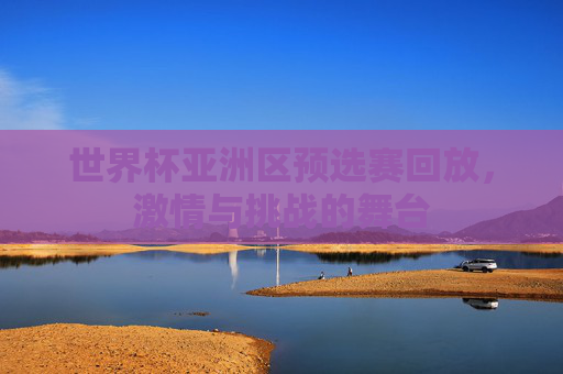 世界杯亚洲区预选赛回放，激情与挑战的舞台