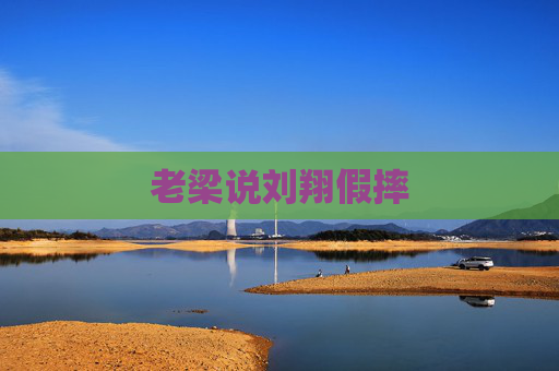 老梁说刘翔假摔