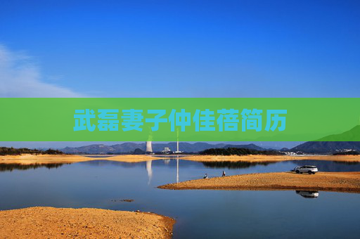 武磊妻子仲佳蓓简历