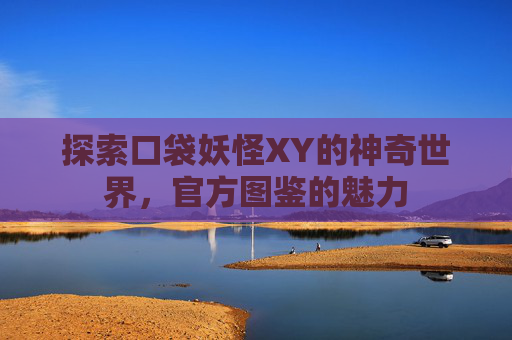 探索口袋妖怪XY的神奇世界，官方图鉴的魅力