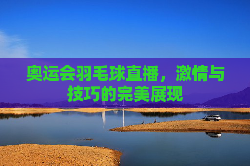 奥运会羽毛球直播，激情与技巧的完美展现