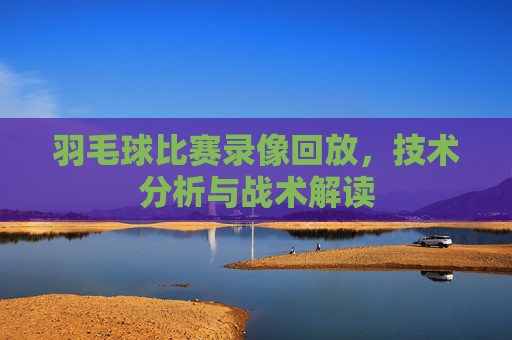 羽毛球比赛录像回放,技术分析与战术解读 羽毛球比赛录像回放,技术分析与战术解读