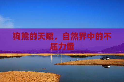狗熊的天赋,自然界中的不屈力量 狗熊的天赋,自然界中的不屈力量