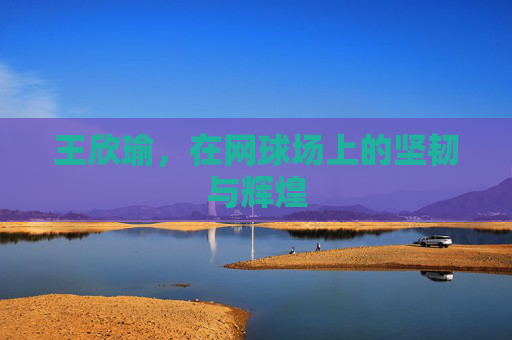王欣瑜，在网球场上的坚韧与辉煌