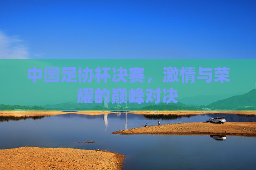 中国足协杯决赛，激情与荣耀的巅峰对决
