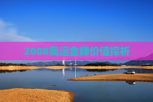 2008奥运金牌价值探析