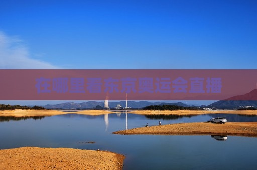 在哪里看东京奥运会直播