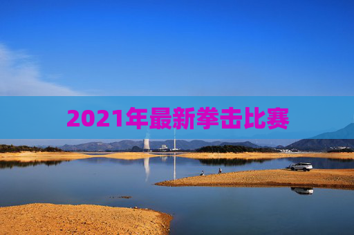 2021年最新拳击比赛