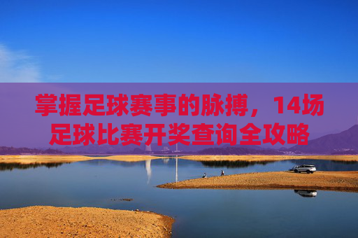 掌握足球赛事的脉搏，14场足球比赛开奖查询全攻略