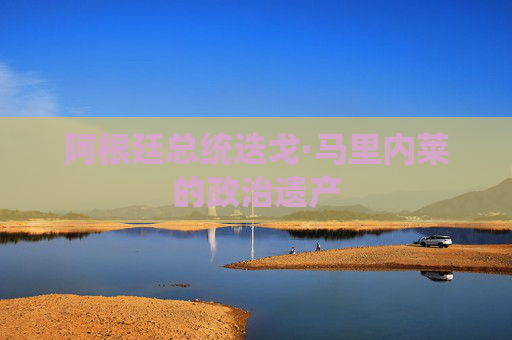 阿根廷总统迭戈·马里内莱的政治遗产