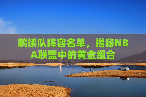 鹈鹕队阵容名单，揭秘NBA联盟中的黄金组合