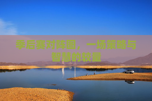 季后赛对阵图，一场策略与智慧的较量
