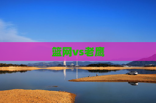 篮网vs老鹰