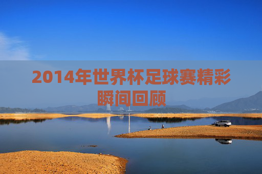 2014年世界杯足球赛精彩瞬间回顾