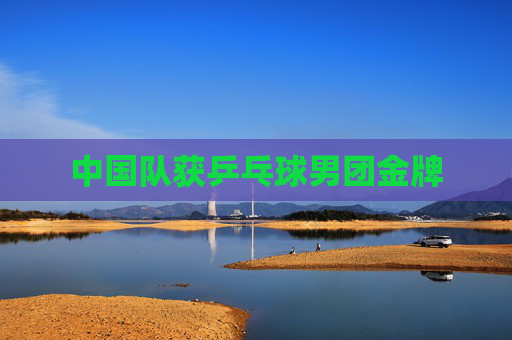 中国队获乒乓球男团金牌