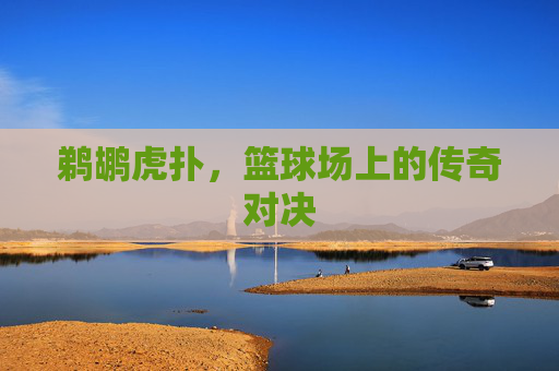鹈鹕虎扑，篮球场上的传奇对决
