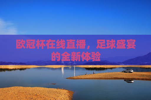 欧冠杯在线直播，足球盛宴的全新体验