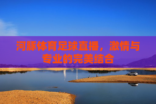 河豚体育足球直播，激情与专业的完美结合
