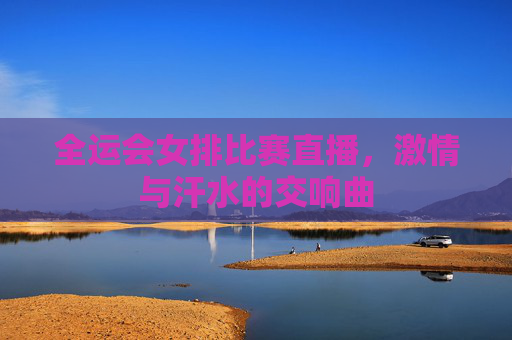 全运会女排比赛直播，激情与汗水的交响曲