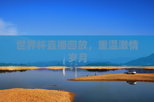 世界杯直播回放，重温激情岁月