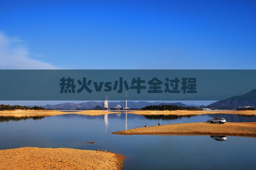 热火vs小牛全过程