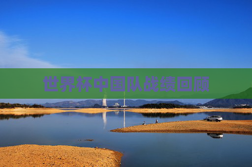 世界杯中国队战绩回顾