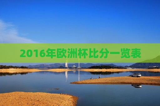 2016年欧洲杯比分一览表