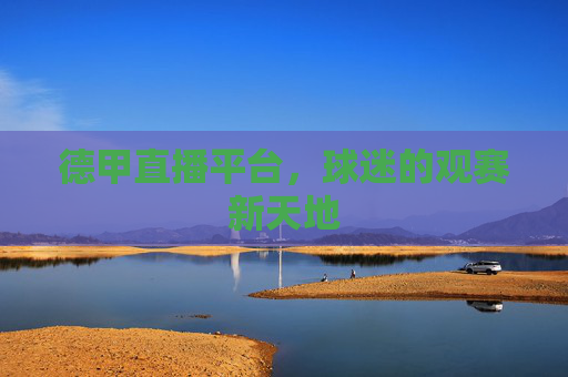 德甲直播平台,球迷的观赛新天地 德甲直播平台,球迷的观赛新天地