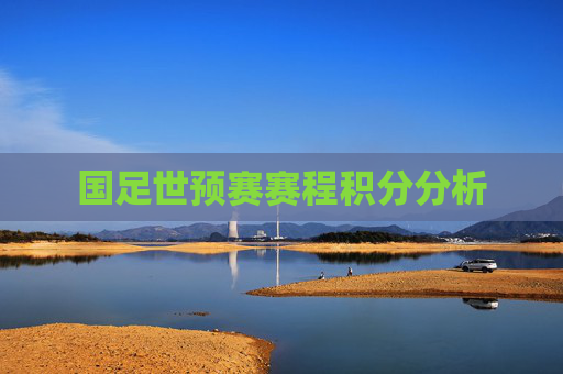 国足世预赛赛程积分分析