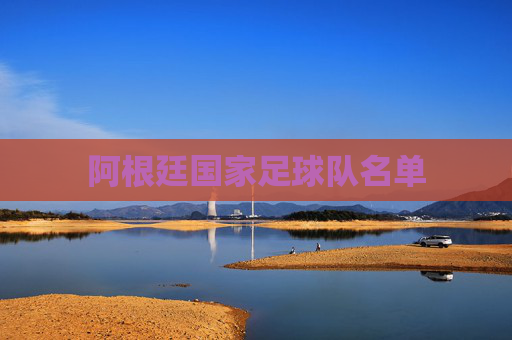 阿根廷国家足球队名单