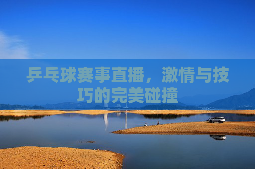 乒乓球赛事直播，激情与技巧的完美碰撞