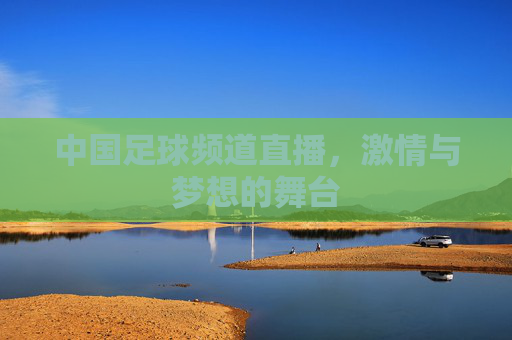 中国足球频道直播，激情与梦想的舞台