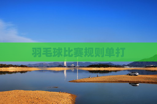 羽毛球比赛规则单打