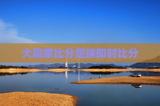 大赢家比分足球即时比分