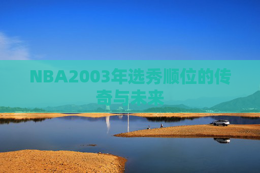 NBA2003年选秀顺位的传奇与未来