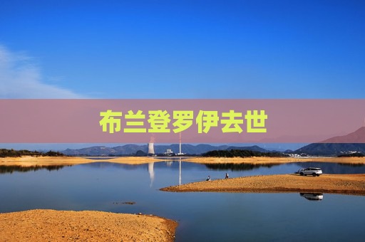 布兰登罗伊去世