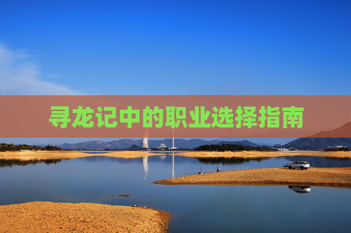 寻龙记中的职业选择指南