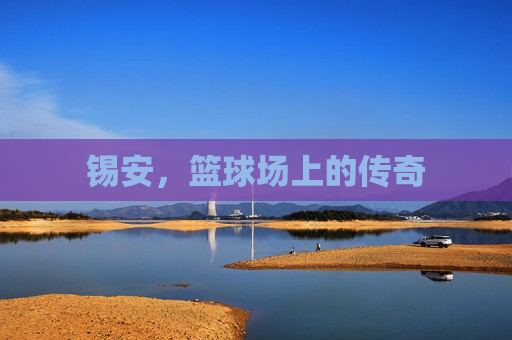 锡安，篮球场上的传奇