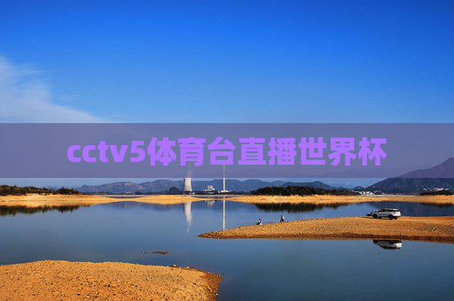 cctv5体育台直播世界杯