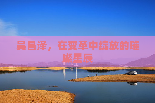 吴昌泽，在变革中绽放的璀璨星辰