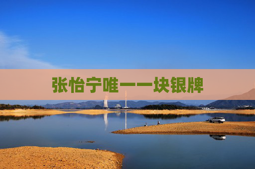 张怡宁唯一一块银牌