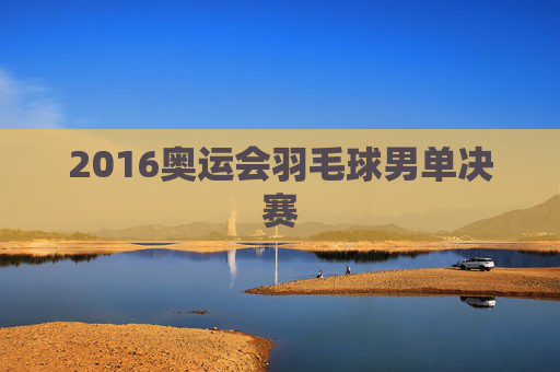2016奥运会羽毛球男单决赛