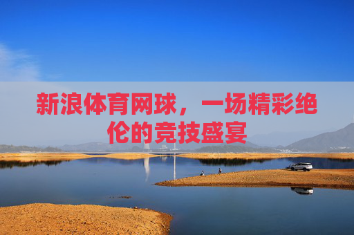 新浪体育网球，一场精彩绝伦的竞技盛宴