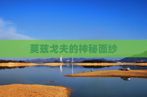 莫兹戈夫的神秘面纱