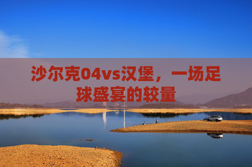 沙尔克04vs汉堡，一场足球盛宴的较量