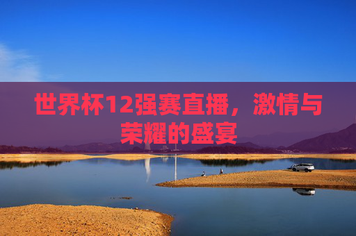 世界杯12强赛直播,激情与荣耀的盛宴 世界杯12强赛直播,激情与荣耀的盛宴