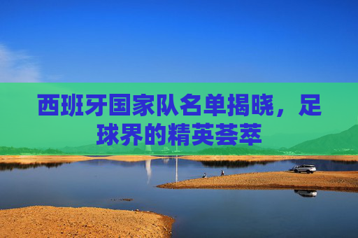 西班牙国家队名单揭晓，足球界的精英荟萃