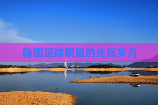 韩国足球明星的光辉岁月