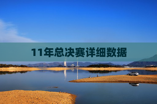 11年总决赛详细数据