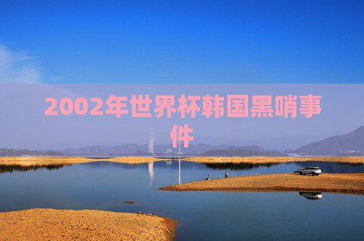 2002年世界杯韩国黑哨事件
